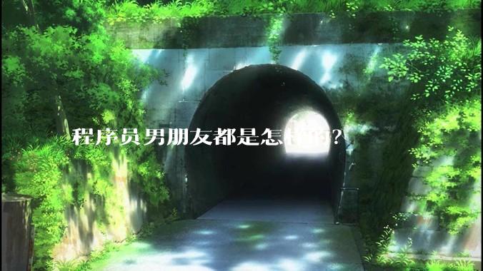 程序员男朋友都是怎样的？