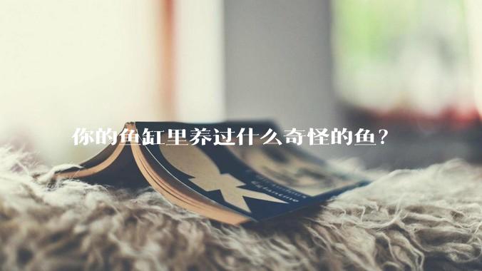 你的鱼缸里养过什么奇怪的鱼？