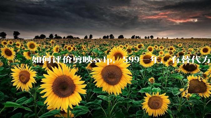 如何评价剪映svip，599一年，有替代方案吗？